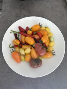Verse tomaten en pepers